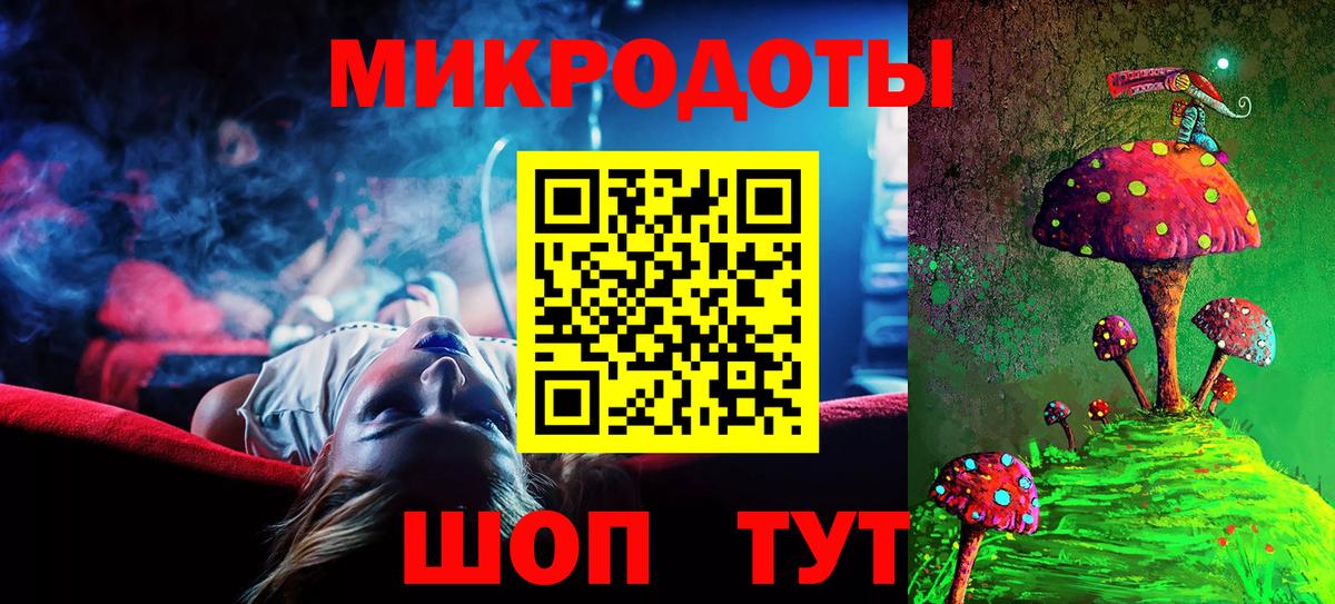 Псилоцибиновые грибы Psilocybe Морозовск